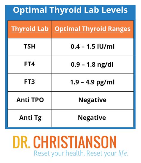 Thyroid Globulin Normal Range