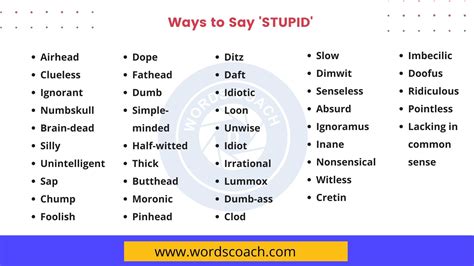 40+ Ways to Say STUPID in english - Word Coach