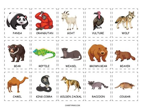 Animals Of The World Activity For Kids {Free Download}