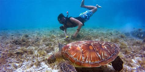 Snorkeling Adventures - Reef Quest Boat Tours