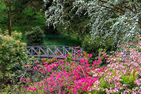 Drumlanrig Castle Gardens 2-for-1 entry - BBC Gardeners World Magazine