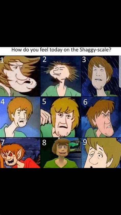 Scooby Doo Memes Clean