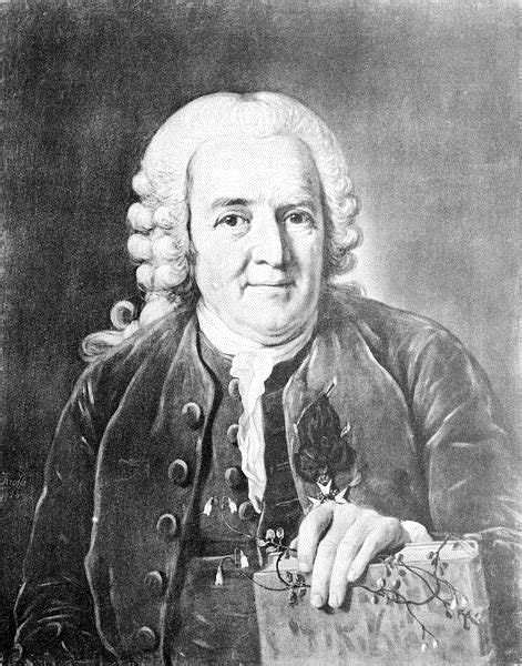 About Carl Linnaeus or Carl von Linné, The Father of Taxonomy