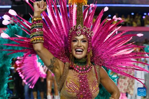 In pics: carnival parade in Rio de Janeiro, Brazil-Xinhua