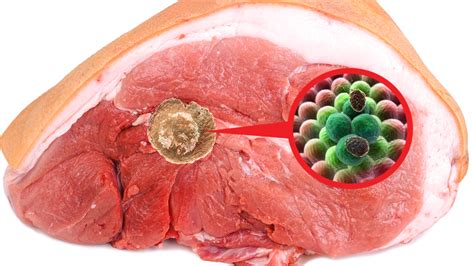 Researchers Reveal How Meat Filled With Cancer and Other Disease Is ...