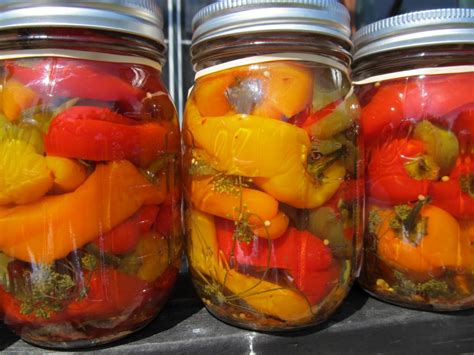 5 Easy Steps To Canning Peppers - Off The Grid News