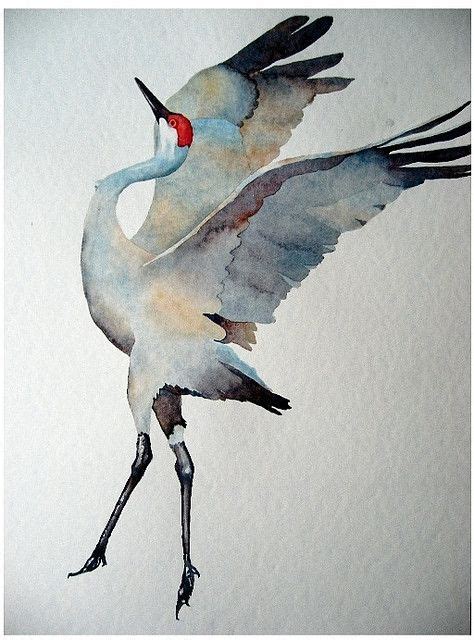 watercolor: sandhill crane | Bird art, Japanese art, Watercolor bird