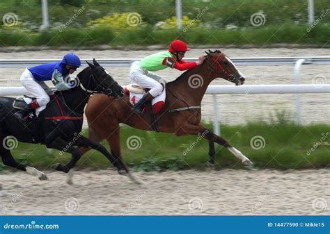 Two horses racing stock photo. Image of competition, leading - 14477590