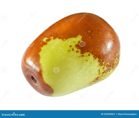 Ziziphus Fruit One Whole, Close-up Macro View, Isolated on White ...