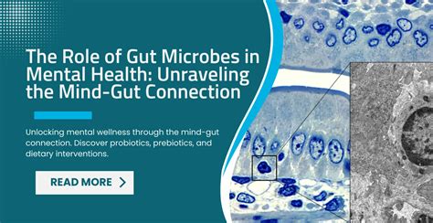 The Role of Gut Microbes in Mental Health: Unraveling the Mind-Gut ...