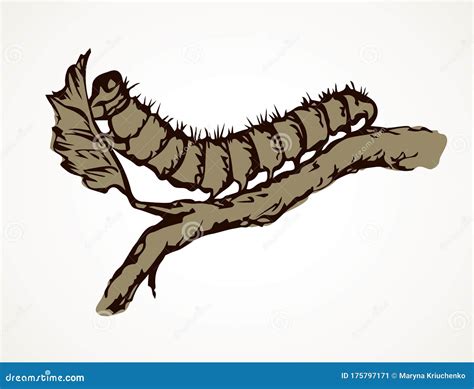 The Caterpillar Eats A Leaf. Vector Drawing | CartoonDealer.com #174863578