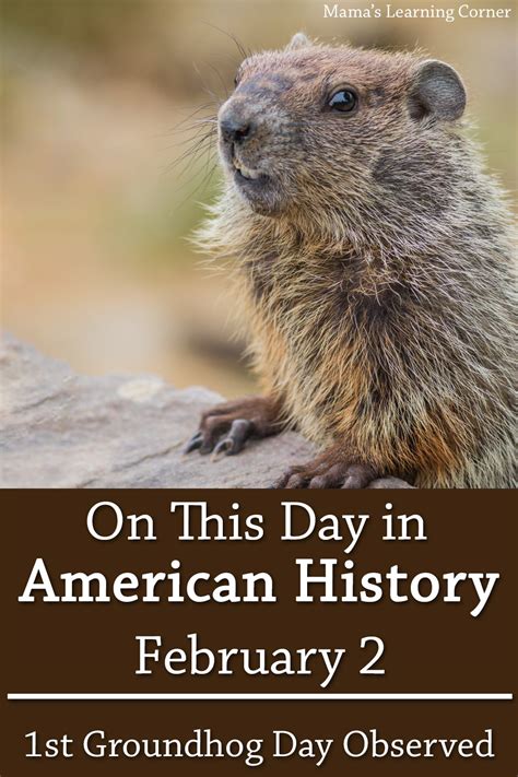 On This Day in American History: February 2 – First Groundhog Day is ...