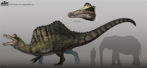 Spinosaurus Concept Design, Maurizio Morosan on ArtStation at https ...