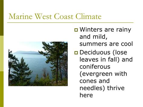 PPT - Climate Zones and Vegetation PowerPoint Presentation, free ...