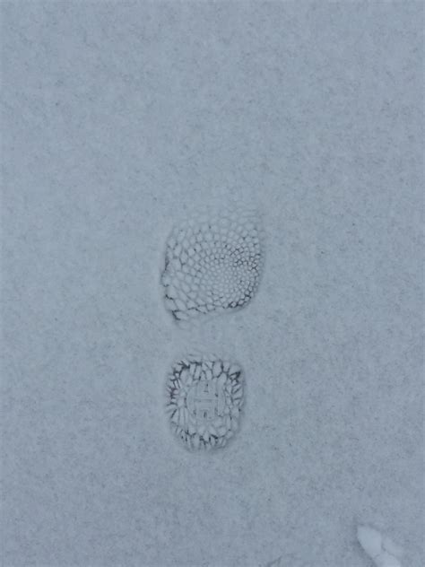 My shoe print in the snow : r/oddlysatisfying