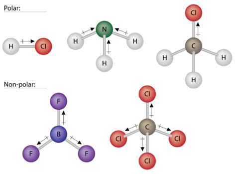 Polar Molecules | Chemistry for Non-Majors