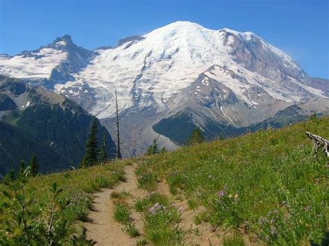 Sunrise Visitor Center (Mount Rainier National Park, WA): Address ...