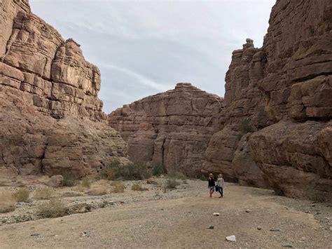 The Ladder Canyon Hike | Painted Canyon | Mecca Hills Palm Springs Hike