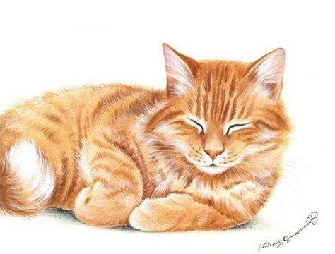 Ginger Cat Print Snoozing by Irina Garmashova | Etsy | Illustration de ...