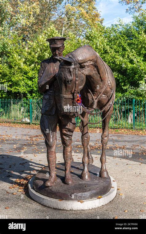 The Romsey War Horse Statue in Romsey War Memorial Park, Hampshire ...