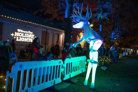 Bronx NYCHA Residents Take in Holiday Lights at the Bronx Zoo - The ...