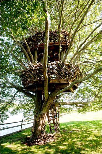 Bird Nest Tree House, Long Island, New Yorkphoto b... Long Island, Home ...