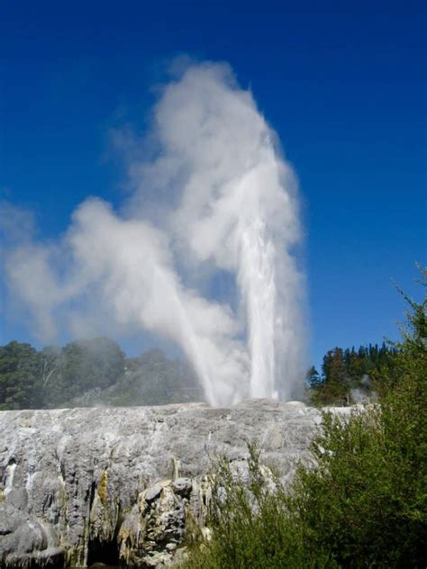 Te Puia, Rotorua, New Zealand - So Much More Than Just a Geyser ...