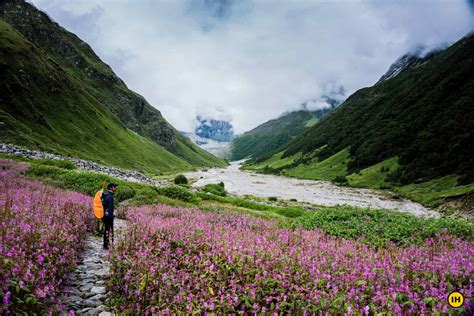 Valley Of Flowers India Map - United States Map