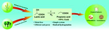 Highly selective production of propionic acid from lactic acid ...