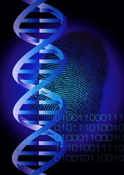 Dna Fingerprint Photograph by David Nicholls - Fine Art America