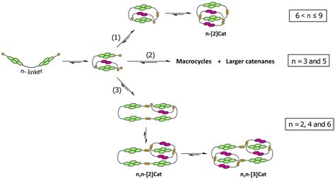 4. The three pathways for catenane synthesis, using 'second generation ...