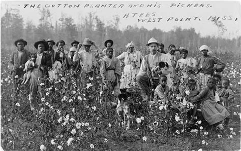 Life as a Slave in the Cotton Kingdom | African American History and ...