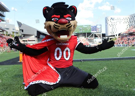 Bearcat Mascot University Cincinnati During Ncaa Editorial Stock Photo ...