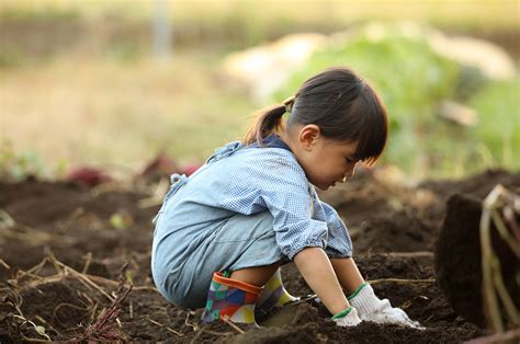 Regen agriculture for kids - FAI Farms