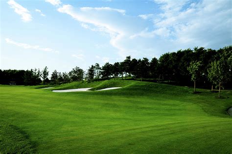 Golf Course Background - Xlarge Photograph by Phototalk - Fine Art America