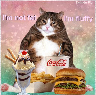 The Best 25 Fat Cat Eating Gif - soonartinterests