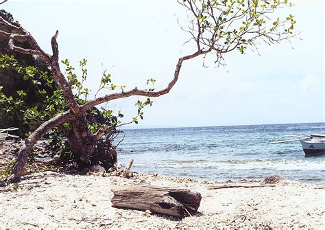 Apo Island, Philippines #1 Free Photo Download | FreeImages