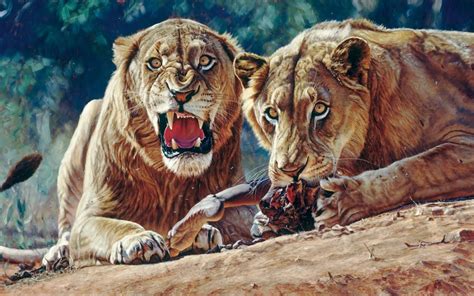 The Death of the First Man-Eating Lion of Tsavo | Smith And Wesson Forums