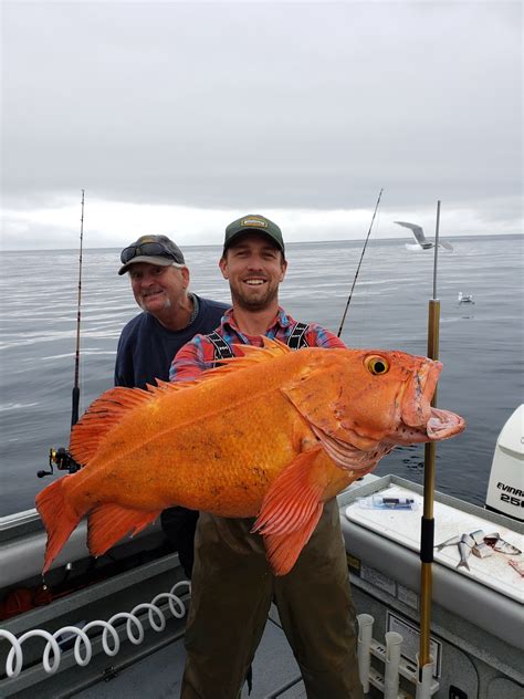 Big Alaska Fishing Charters