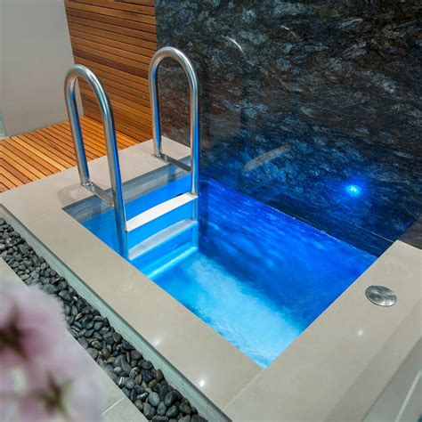 Cold Plunge Pool Ideas - Photos & Ideas | Houzz