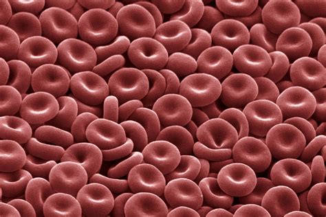 RBC Blood Test: Normal Ranges and Diagnostic Uses