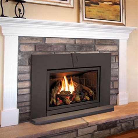 Enviro E30, Gas, Fireplace Insert - Fergus Fireplace