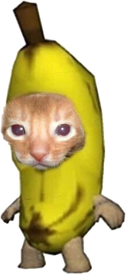 the cat is wearing a banana costume