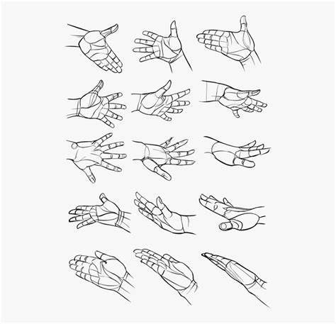 Line Art,style,art - Hand Poses Drawing Reference, HD Png Download ...