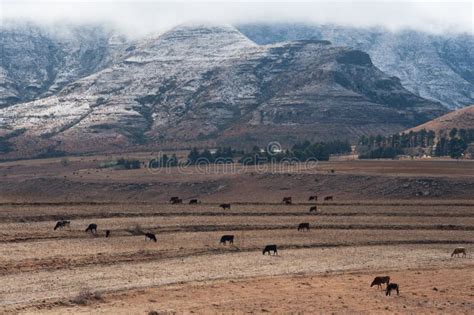 Winter Landscape Maluti Mountains Lesotho Africa Stock Image - Image of ...