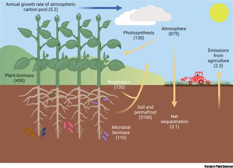 PlantACT! – how to tackle the climate crisis: Trends in Plant Science