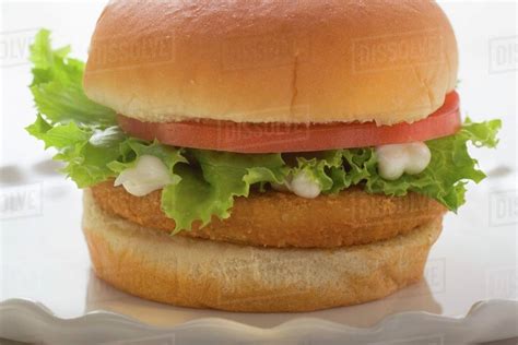 Chicken burger with tomato, lettuce and mayonnaise - Stock Photo - Dissolve