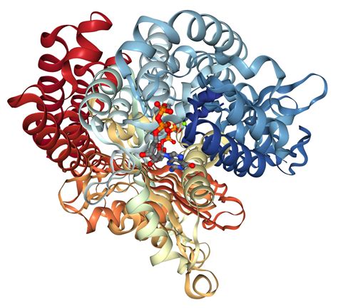 beta-III Tubulin/TUBB3 Protein Overview: Sequence, Structure, Function ...