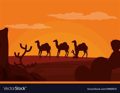 Camels walking on desert silhouette Royalty Free Vector