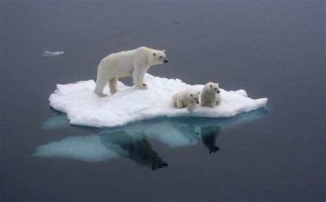 Bangor team’s revolutionary ice-making machine could replenish melting ...